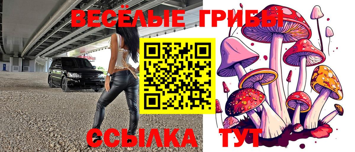 Псилоцибиновые грибы Magic Shrooms Строитель