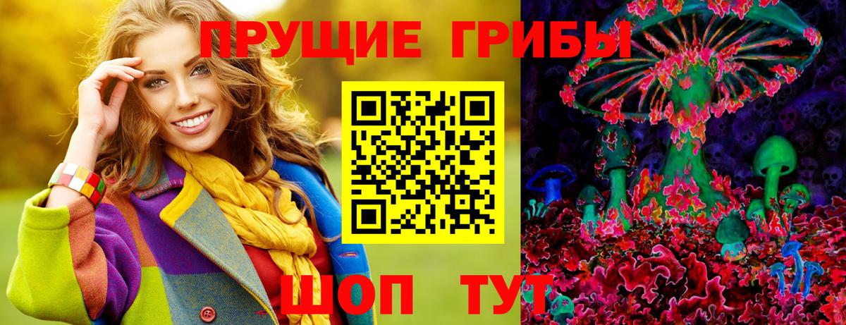Псилоцибиновые грибы мицелий  Псилоцибиновые грибы прущие грибы  Строитель  Вход с VPN 