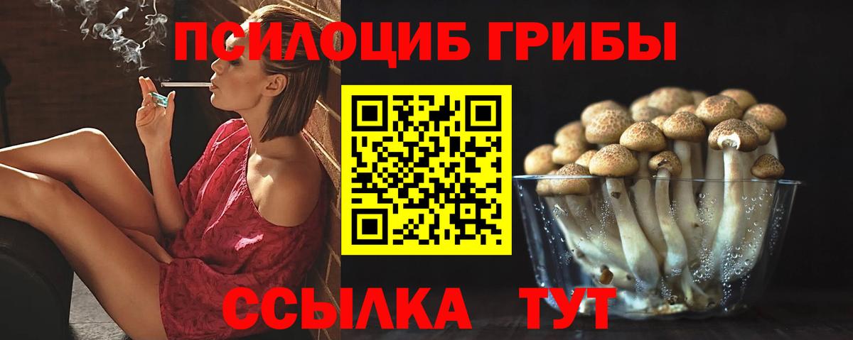 Кокаин  Конопля  Вход с VPN  Строитель  Меф   ГАШИШ 